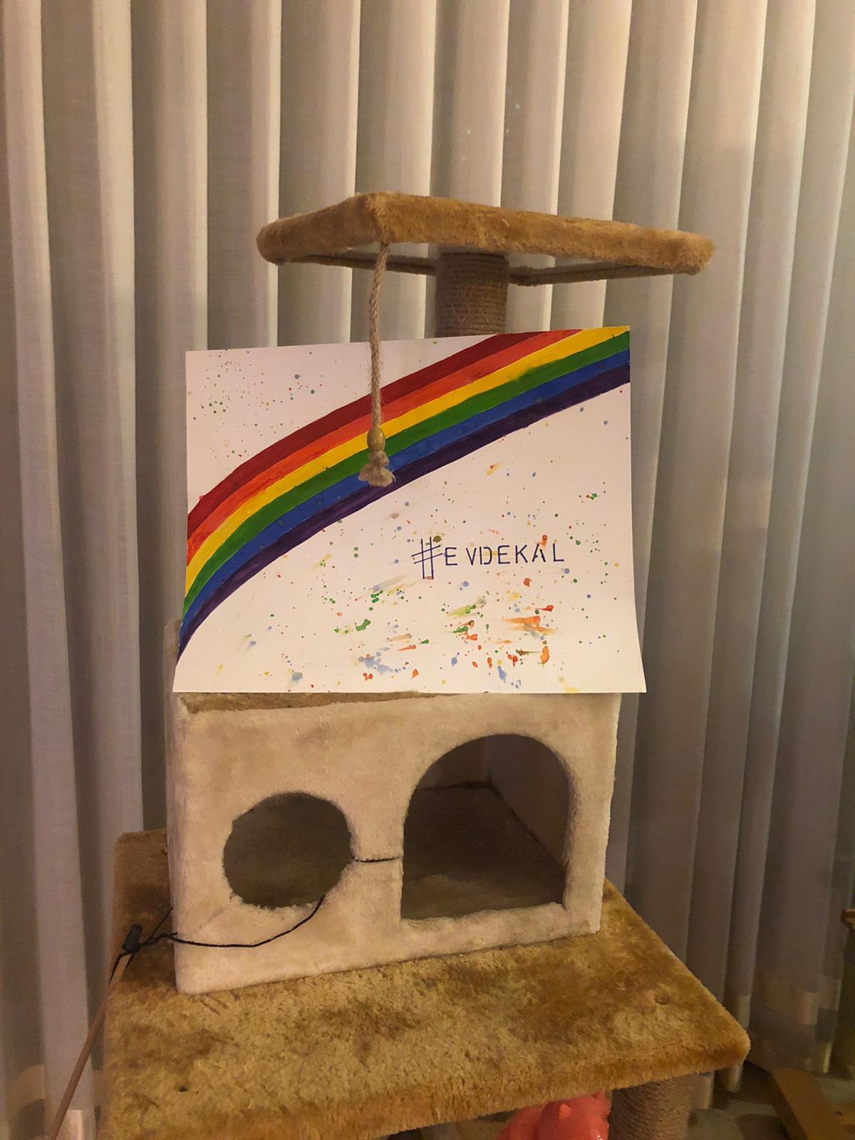 spod-dan-gokkusagi-cagrisi-6 spod-dan-gokkusagi-cagrisi-6